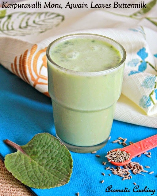 Aromatic Cooking Karpuravalli ( Doddapatre ) Moru, Ajwain Leaves