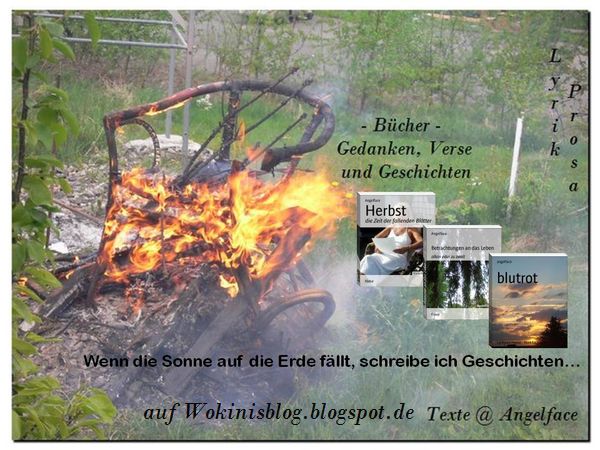 wokinisblog von Angelface