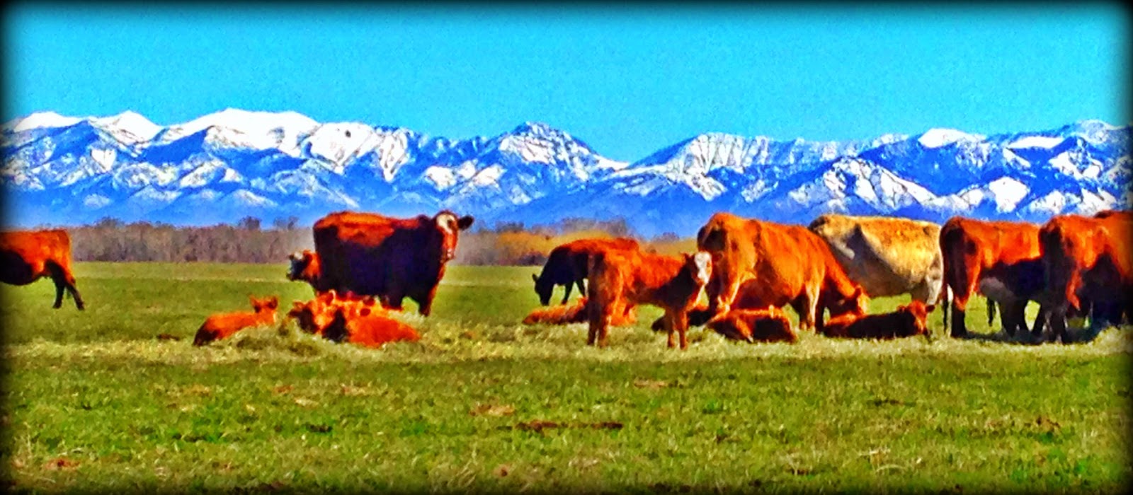 Ranch & Recreational Group Prudential Montana Real Estate