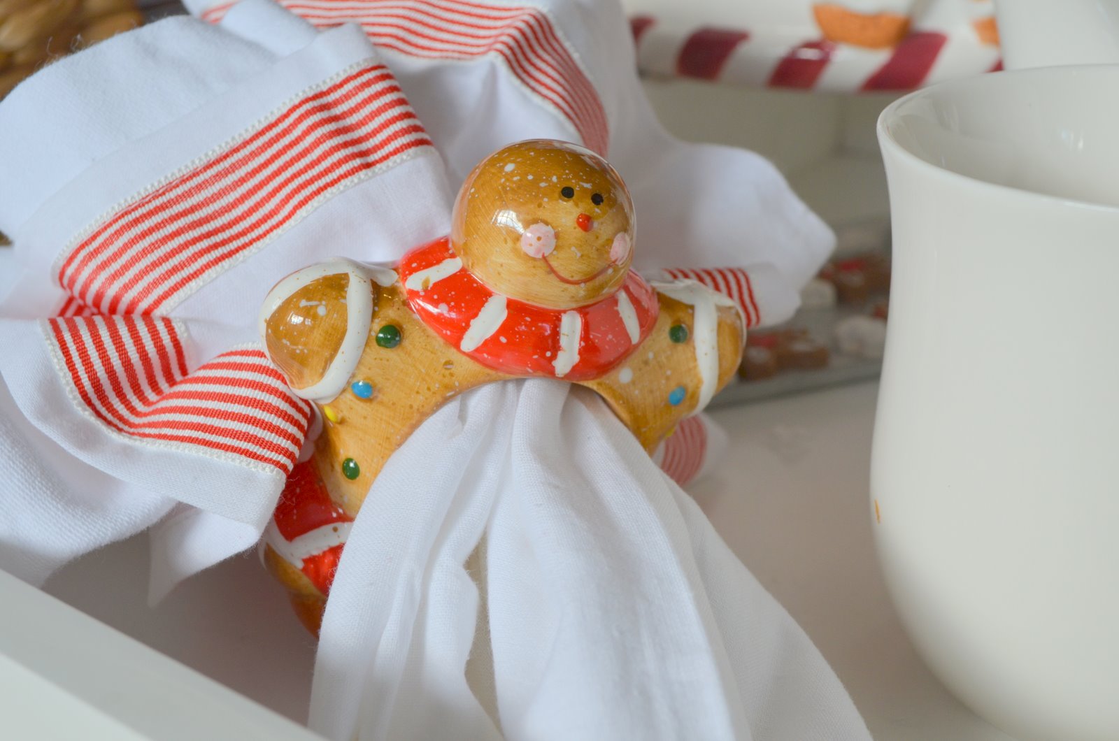 Around the House A GINGERBREAD MAN DAY