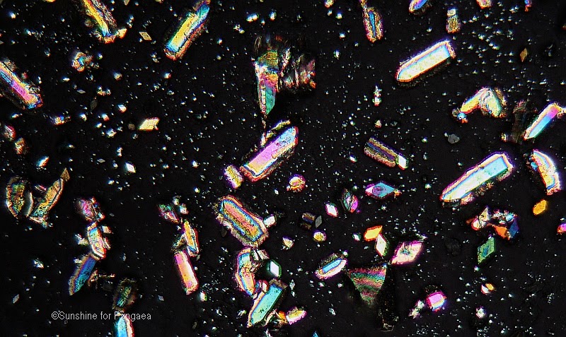 Asparagine under the microscope Asparagine under the microscope (magnification 40x and polarized light).
