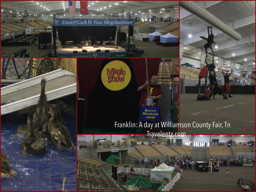 Franklin A day at Williamson County Fair, Tn Travelentz