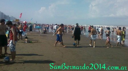 San Bernardo 2014 San Bernardo 2014
