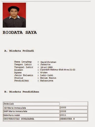 cara membuat biodata sederhana: membuat biodata pribadi secara sederhana