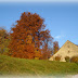 Herbstspaziergang