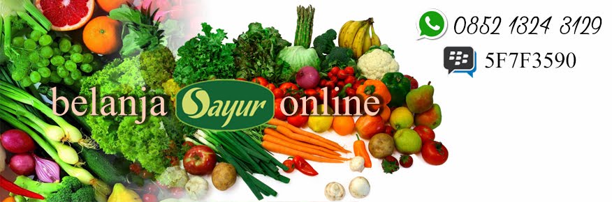 Belanja Sayuran Online || HP: 085213243129