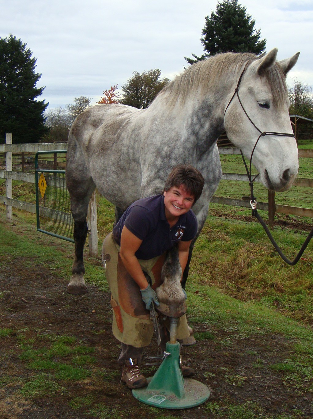 horse tall hoof trimming short really horses hooves trim tami natural