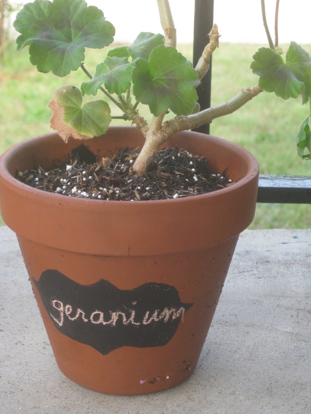 A Modest Garden Chalkboard Paint Pots