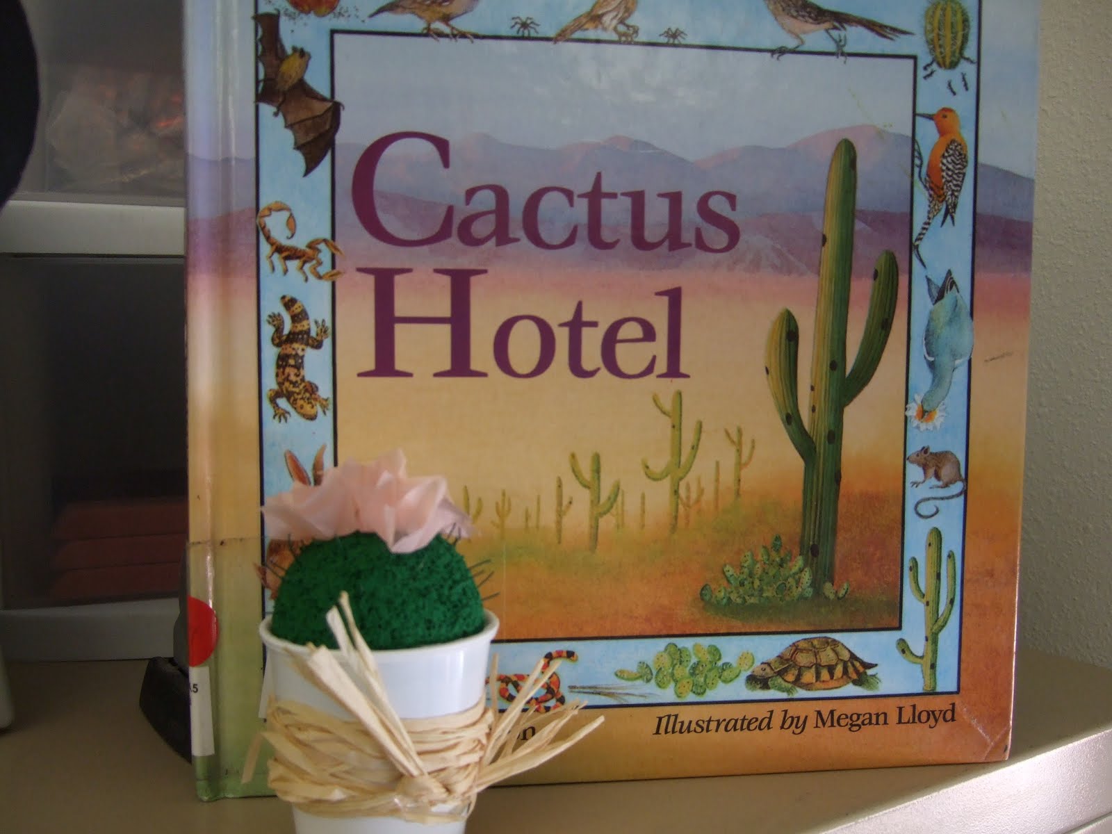 Desert Ecosystem Diorama