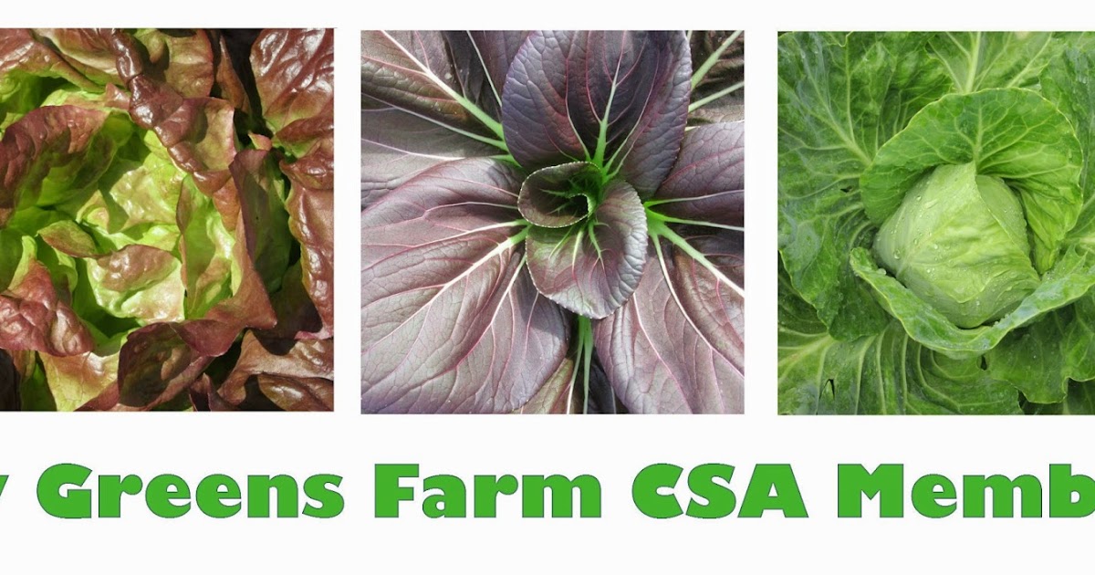 Leafy Greens Farm Buy It Now