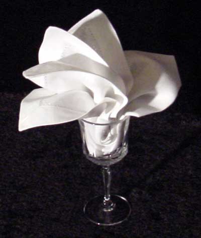 restaurant napkin folds