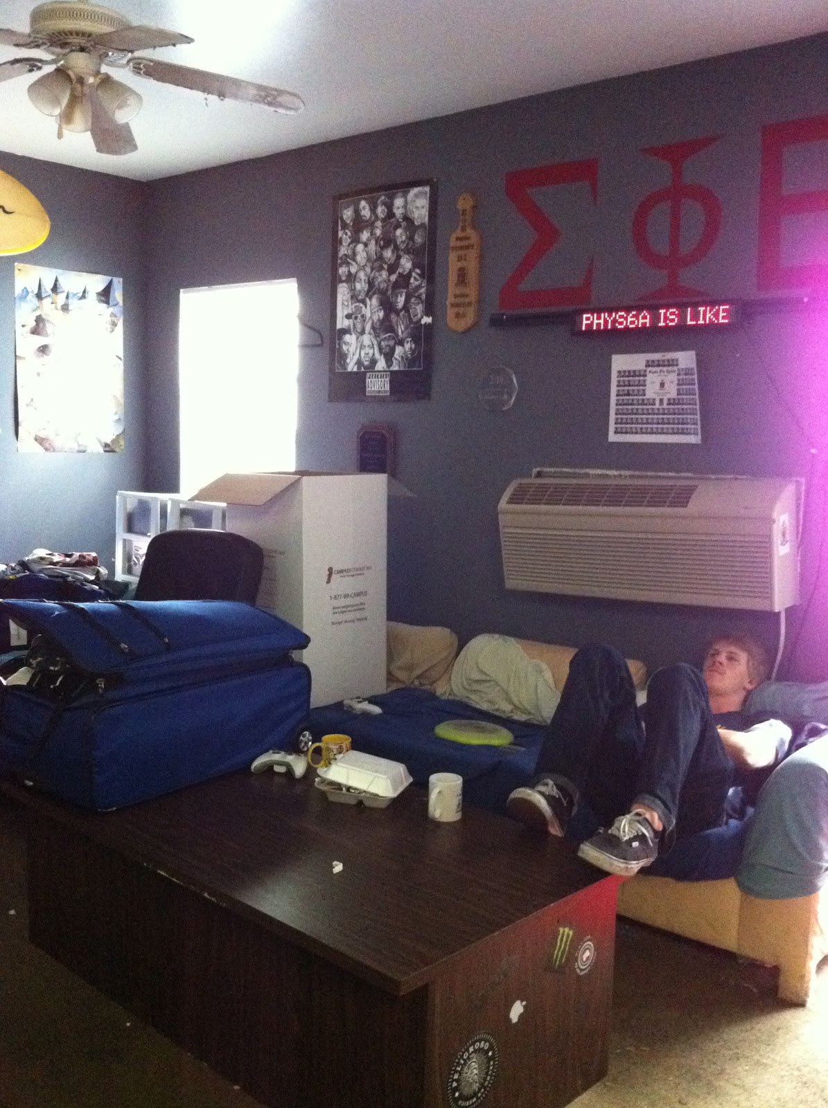 LA DOLFINA Frat Decor