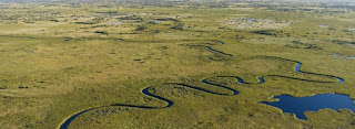 Okavango Delta Botswana Okavango Delta Botswana