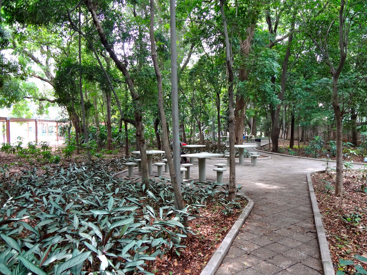 DSC00117 - Série Avenida Paulista: a Villa Fortunata e o parque. Como é o nome mesmo?