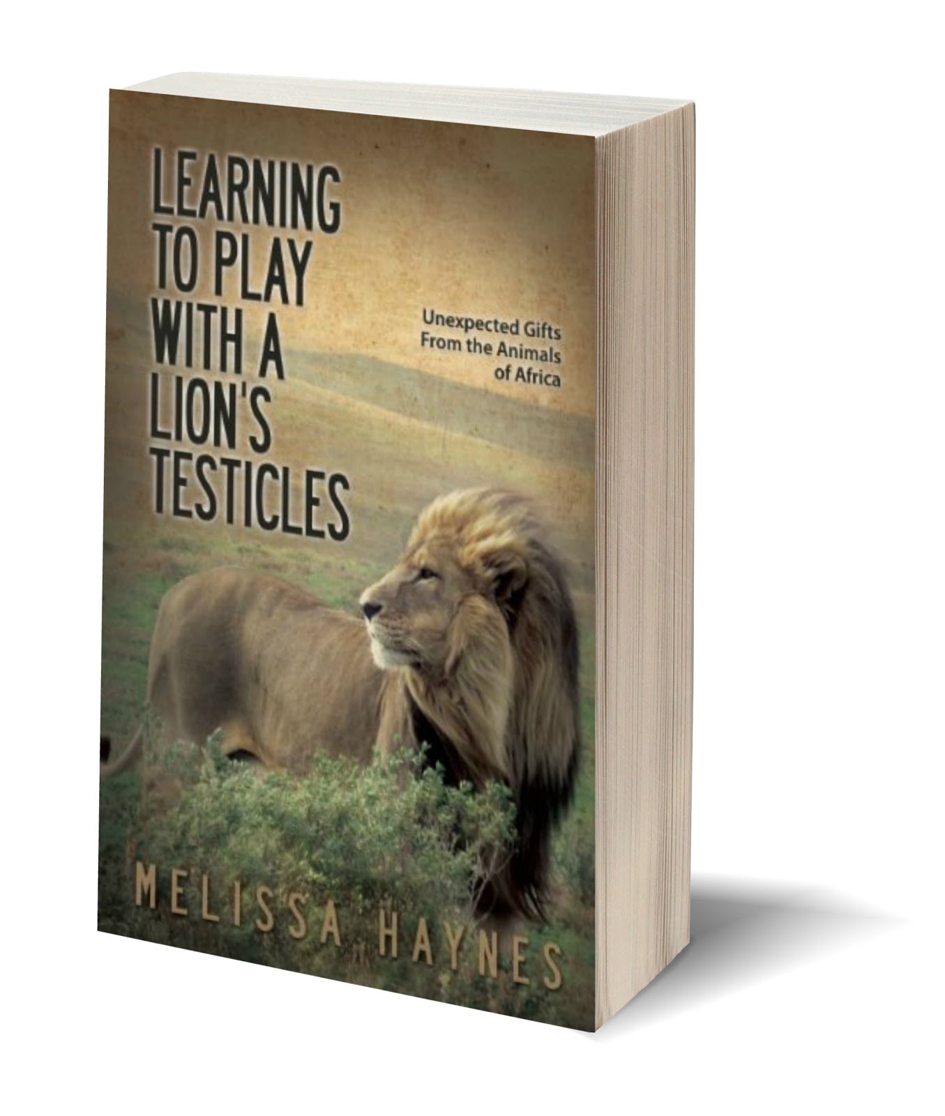 Buy now on Amazon.com