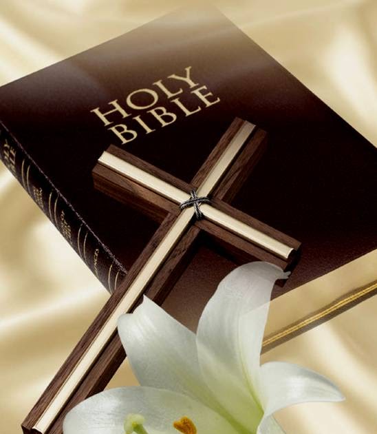 Sandy's Ramblings The Lesson Of The Lilies