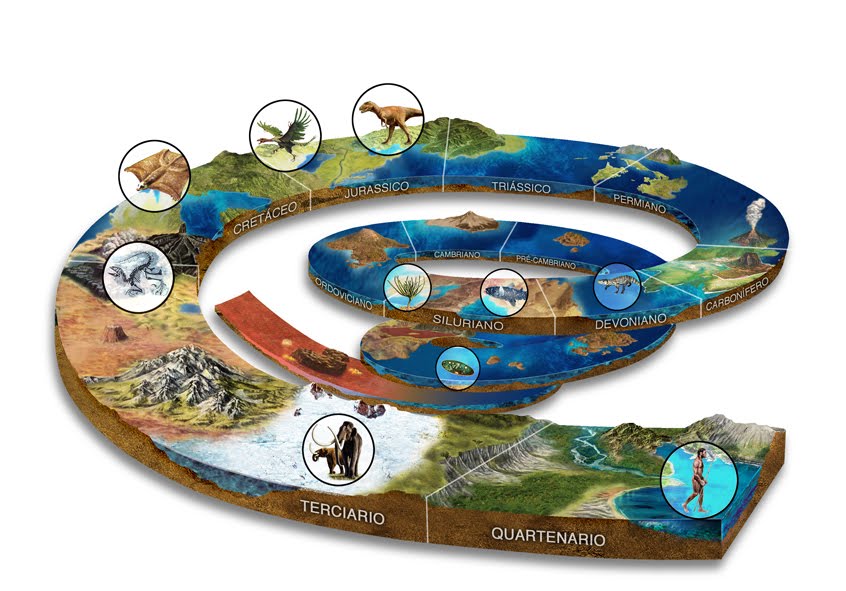 CARACTERISTICA ERA GEOLOGICO caracteristica era geologico: