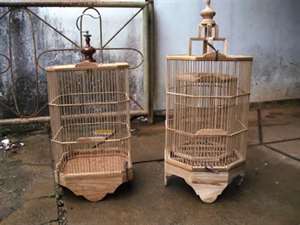 Gambar Sangkar Burung Sangkar burung sederhana