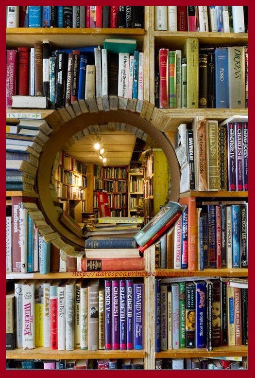 libreria e libri darospoaprincipe