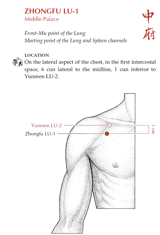 Acupuncture Masters Acupuncture Points Database Lung Channel