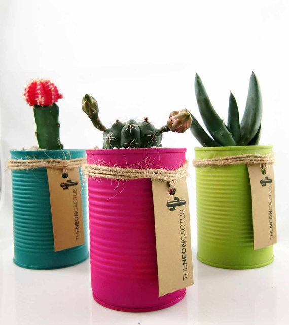 35 unique ideas to transform empty tins into wonderful pots! Do it 35 unique ideas to transform empty tins into wonderful pots! Do it