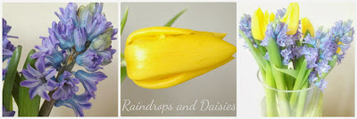 Raindrops and Daisies