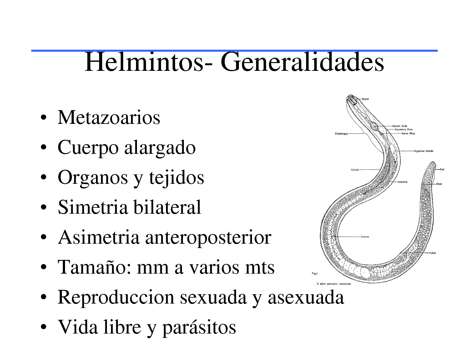 Si es posible es el arenque con los helmintos