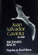 Juan Salvador Gaviota