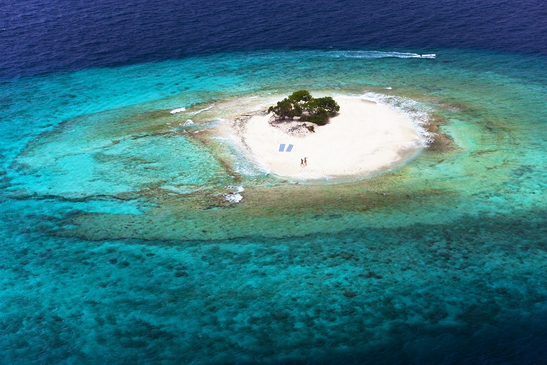 Ruff Survival Surviving on a deserted Island