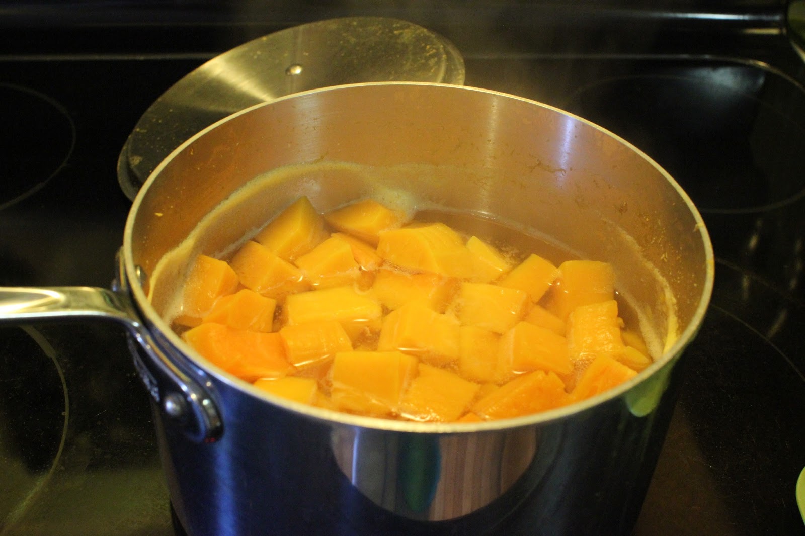 My Life On A Plate Baby Food Butternut Squash Puree