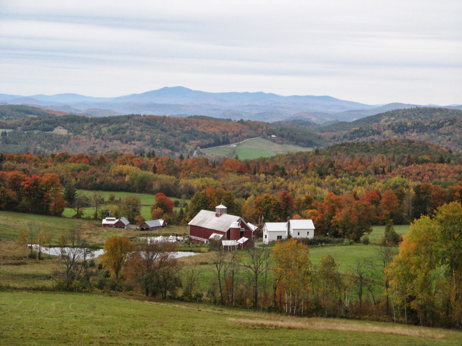 Animal Instinct FALL TOUR Vermont