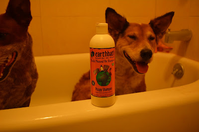 Brisbane and Sisci in the tub with their Earthbath shampoo