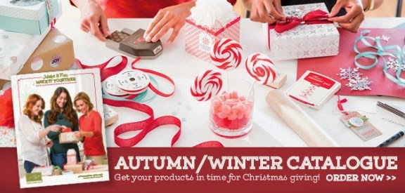 http://www2.stampinup.com/ECWeb/ItemList.aspx?categoryid=3568