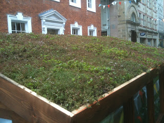 Dig the City 2015 Green shed roof
