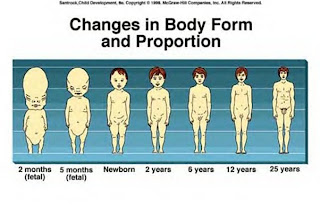 FORMACION DE UNA NUEVA VIDA formacion de una nueva vida: