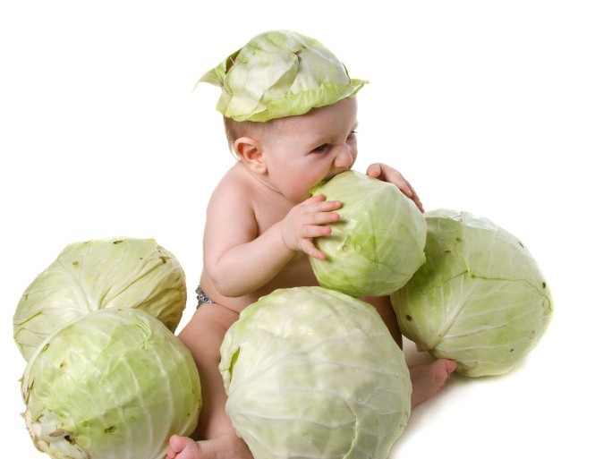 Tales From The Parent 'Hood On Matters Of Cabbage