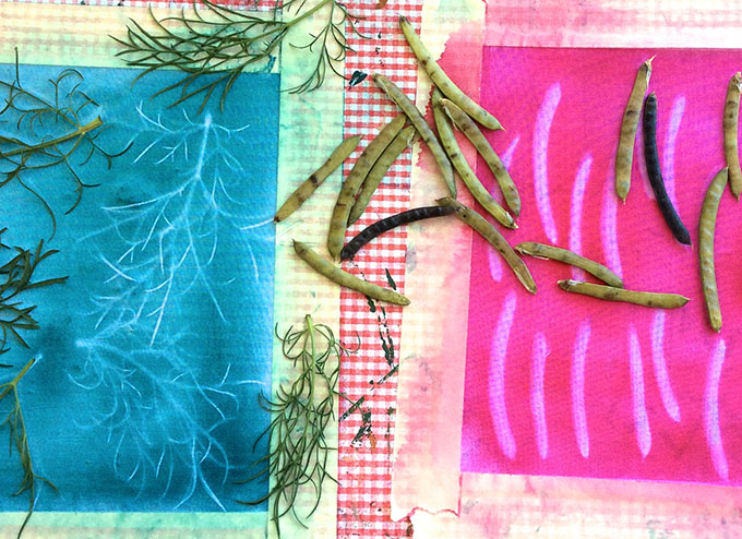 Maryandpatch, Sun printing