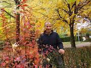 GUARDO; El Otoño en todo su explendor, disfrutarlo guardo 