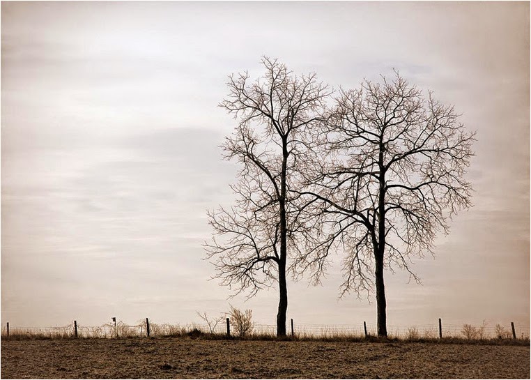 Compact Camera, Best Photo of the Day in Emphoka by Alan Norsworthy, Nikon P7100, https://flic.kr/p/dzaw1A Compact Camera, Best Photo of the Day in Emphoka by Alan Norsworthy, Nikon P7100, https://flic.kr/p/dzaw1A