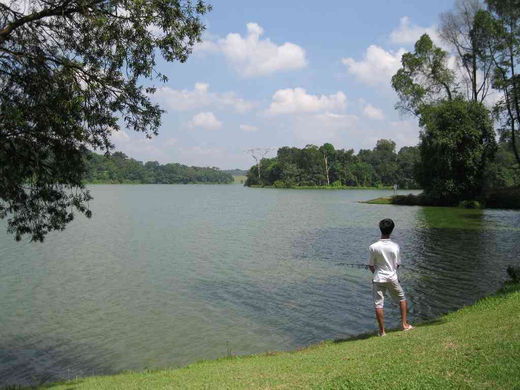 Singapore Walking Routes Kallang Park Connector