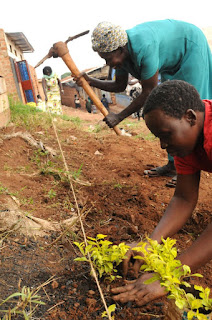 African women working African women working