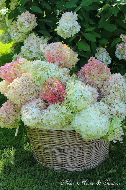 Aiken House & Gardens: Gathering