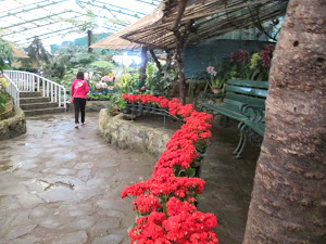 "Orchid Flower Show" in Gangtok.