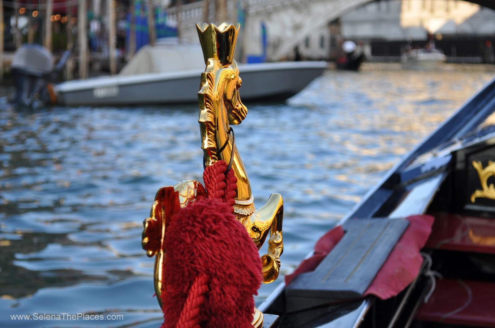 Gondola Ride in Venice