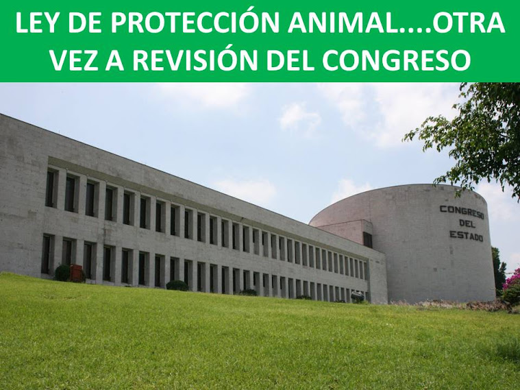 proteccion animal