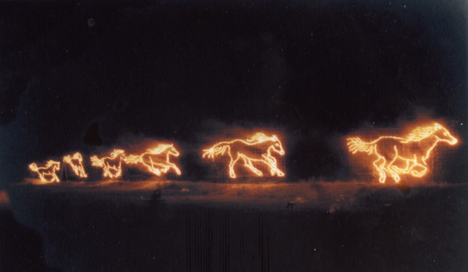 HD Animals Wallpapers: Wild Horses Running