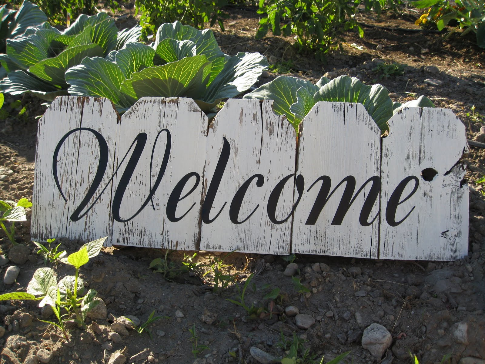 cait + create Vinyl Craft Idea