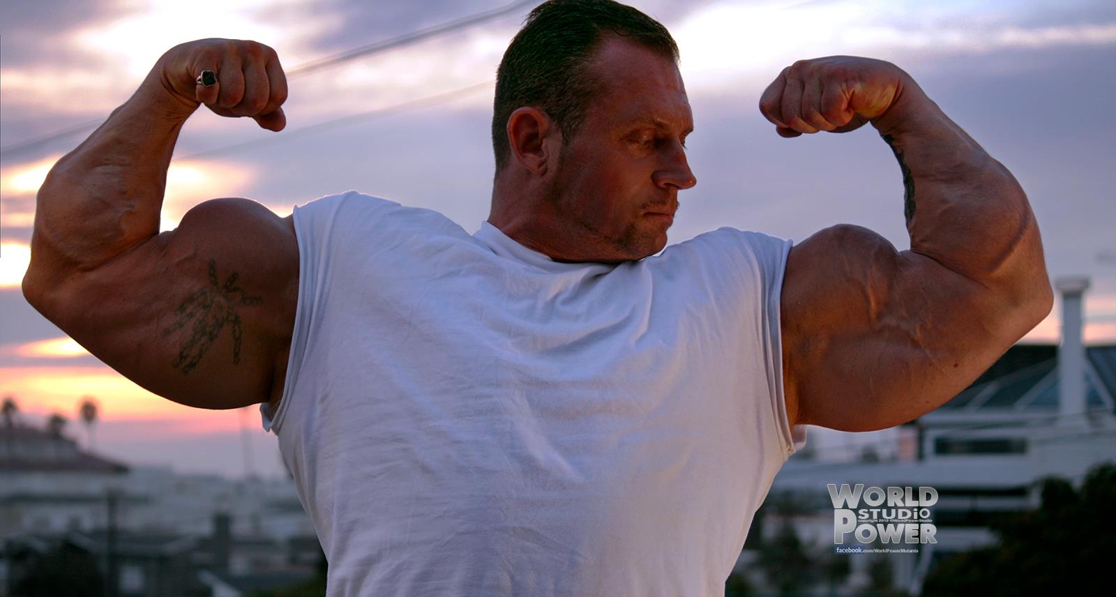 SEARCH AND BUY THIS PRODUCT Muscle Male Model *: Big Dave