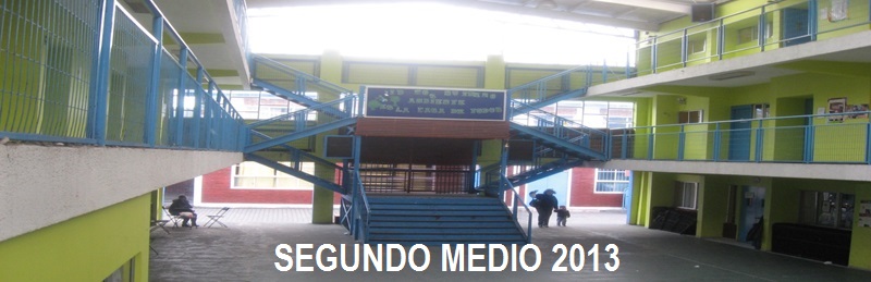 Segundo Medio 2013 Colegio San Patricio