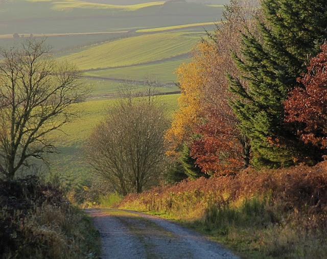 Friko's World: On Black Hill
